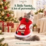 Gray and white cat showing the Santa applique on the back of the Christmas outfit