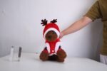 Santa & Reindeer Christmas Costume for Dogs and Cats – Cozy Holiday Outfit - Imagen 10