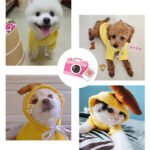 Fruit & Animal Fleece Hoodie for Small Dogs – Cozy Costume - Imagen 6