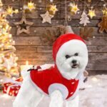 Santa & Reindeer Christmas Costume for Dogs and Cats – Cozy Holiday Outfit - Imagen 3