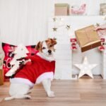 Santa & Reindeer Christmas Costume for Dogs and Cats – Cozy Holiday Outfit - Imagen 4